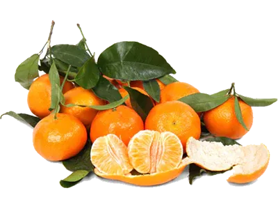 Fresh Mandarin from United States supplied by Pearson Ranch LLC - Orange Fresh Mandarin