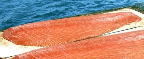 Smoked Salmon from Norway supplied by Feldt's Fisk & Skalldyr AS - Skinless (=Skin Off) Salmon