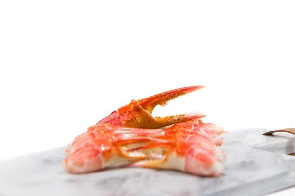 Cocktail Claws from Bulgaria supplied by Ribex Trading - Fresh (=Chilled=Raw) Snow Crab