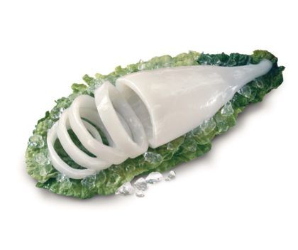 Squid from Spain supplied by Krustagroup SAU - Strips Frozen Squid