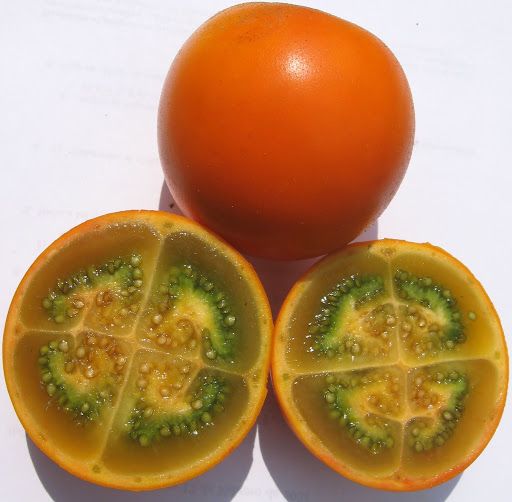 Lulo from Colombia supplied by COLOMBIAN GREENS SAS - Unspecified Lulo