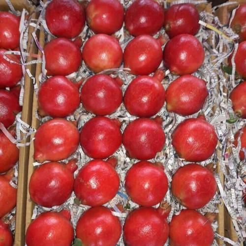 pomegranate from India supplied by Prathmesh enterprise - Conventional Fresh Pomegranate