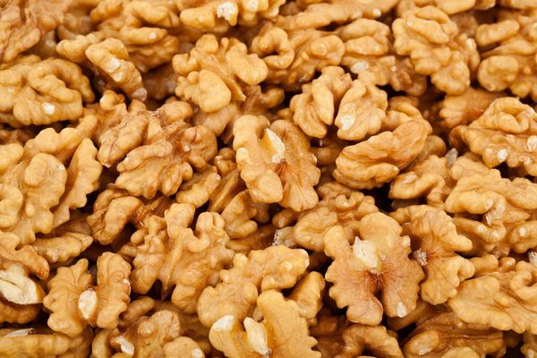 Walnut Kernels from Ukraine supplied by GFK COMPANY - Shelled (=Kernel) Raw Walnut