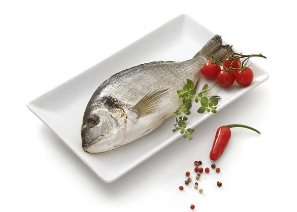 Seabream from Portugal supplied by FRIJOBEL - INDÚSTRIA E COMÉRCIO ALIMENTAR, S.A. - Gilt-head Bream (=Sparus aurata) Frozen Sea Bream