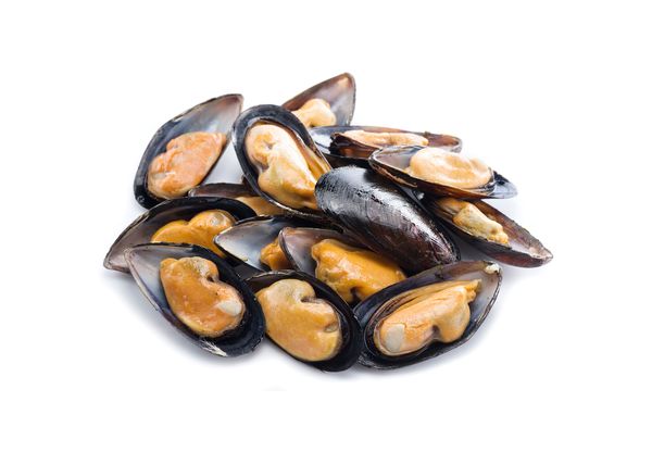Mussels from New Zealand supplied by Zalo Fresh Inc. - Fresh (=Chilled=Raw) Frozen Mussel