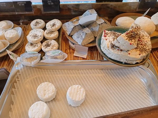 Fresh Organic Goat Milk Cheese from 독일 supplied by Goat Farm Scellebelle - Fresh 기타 치즈