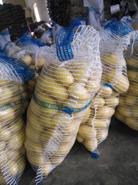 Potato Alloo from 파키스탄 supplied by Rasaz Traders - 50 mm and larger 신선 일반 감자