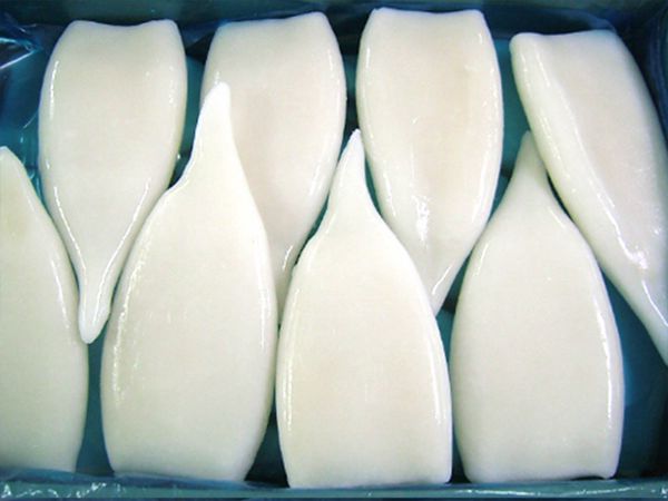 Frozen Squid from China supplied by Fortune Seafood Co,Ltd - Tubes Frozen Squid