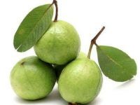 Fresh Guava from India supplied by Jubilant Consumer Private Limited - Conventional Fresh Guava