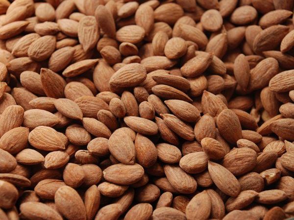 Almond from 튀르키예 supplied by Goldenfood - In-shell 아몬드 알맹이
