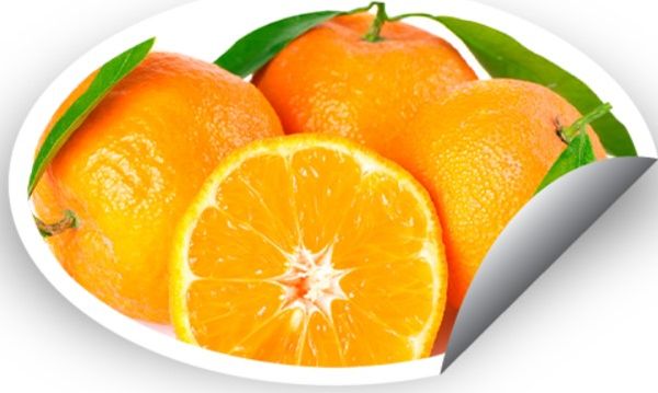 Fresh Oranges from Netherlands supplied by Fortuna Fruits Continental BV - Orange Fresh Orange