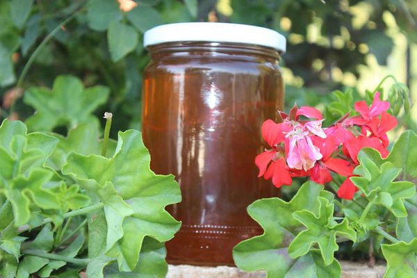 Honey from Lebanon supplied by Green Village Lebanon - Liquid Honey