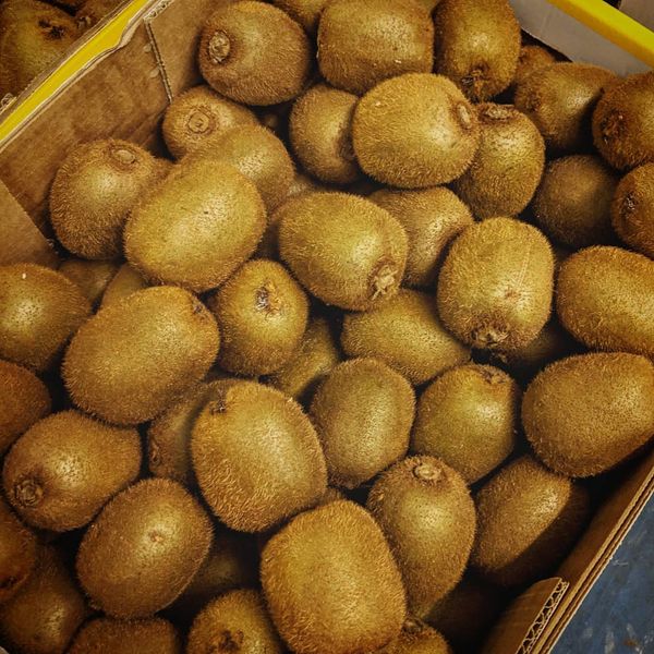Kiwifruit from 미국 supplied by Combs Wholesale Produce Company - Sungold (=Zespri) 신선 키위