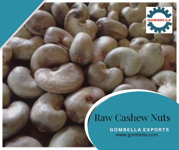 Raw Cashew Nuts from 나이지리아 supplied by Gombella Integrated Services Ltd. Nigeria - Broken 생 캐슈너트