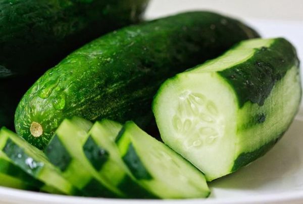 Cucumber from 이탈리아 supplied by Pro agri - Dark Green 신선 오이