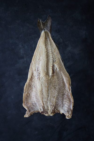 Salted Saithe from 노르웨이 supplied by Andreas Bjørge Seafood AS - Dried 검정대구