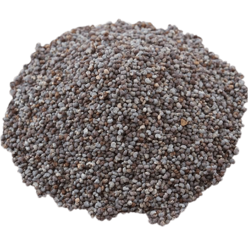 Poppy Seed from India supplied by Spice Essence International LLP - Low Quality Poppy Seed