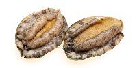 Fresh Abalone from 일본 supplied by Kamada Fisheries Co., Ltd. - Fresh (=Chilled=Raw) 신선 전복
