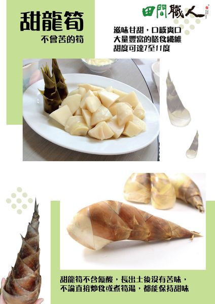 Bamboo Shoot from 대만 supplied by Tama Shokunin - Conventional 죽순
