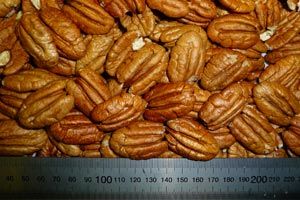 Pecan Kernel - Special Reserve Halves from South Africa supplied by Roux Pecans - Brown Pecan Nut