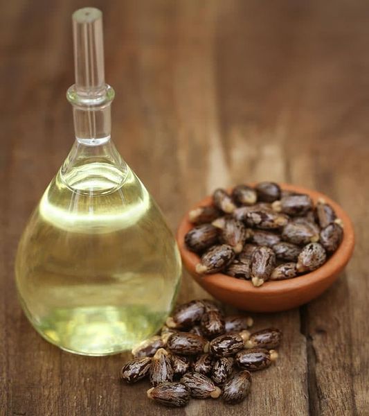 Castor Seed from Ethiopia supplied by Desalegn Biresaw Importer & Exporter - Organic Castor Bean (Castor Seed)