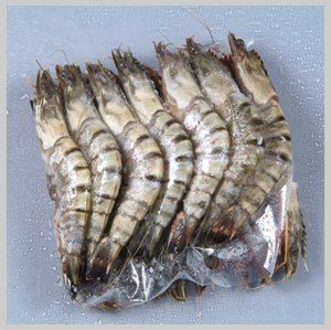 Shrimp from 노르웨이 supplied by Hansens Røkeri AS - Whole 신선 새우