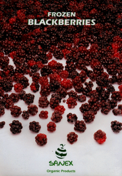 Frozen Blackberries from 튀르키예 supplied by Sanex Organic Food - Frozen 신선 블랙베리