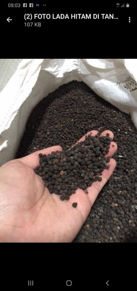 Black Peppers from 인도네시아 supplied by Rey Tigra Gold - Puree 혼합 향신료 상품