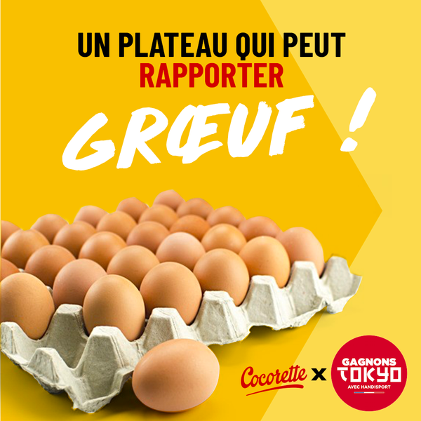 Fresh Chicken Eggs from 프랑스 supplied by SANCCO COCORETTE - Fresh 달걀