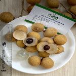 Longan from Vietnam supplied by MiNa Import Export JSC - Whole Fresh Longan