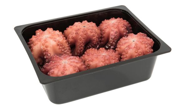 Octopus from Spain supplied by PESCAFACIL S.L. - Slices Frozen Octopus