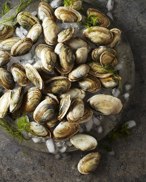Clam from 미국 supplied by Vincent Piazza, Jr. & Sons Seafood, Inc. - Whole (=In Shell=Unshucked) 냉동 조개