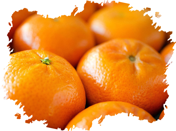 Kinnow (Mandarin) from 파키스탄 supplied by UNION FRUIT EXPORT - Kinnow 신선 만다린