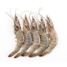Fresh Shrimp from Norway supplied by Ramoen AS - Northern Shrimp (=Pandalus borealis=Nordic Shrimp=Northern Prawn=Coldwater Prawn=Maine Shrimp=Canadaian Coldwater Shrimp=Arctic Shrimp) Frozen Common Shrimp & Prawn