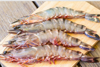 Shrimp from 캐나다 supplied by Allseas  Fisheries - Whole 신선 새우