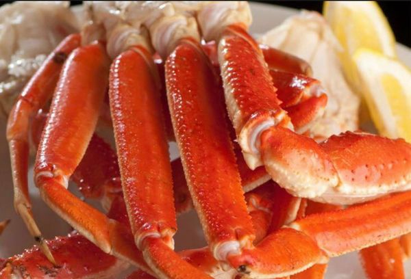 Snow Crab from United Kingdom supplied by The Berwick Shellfish Co. - Snow Crab