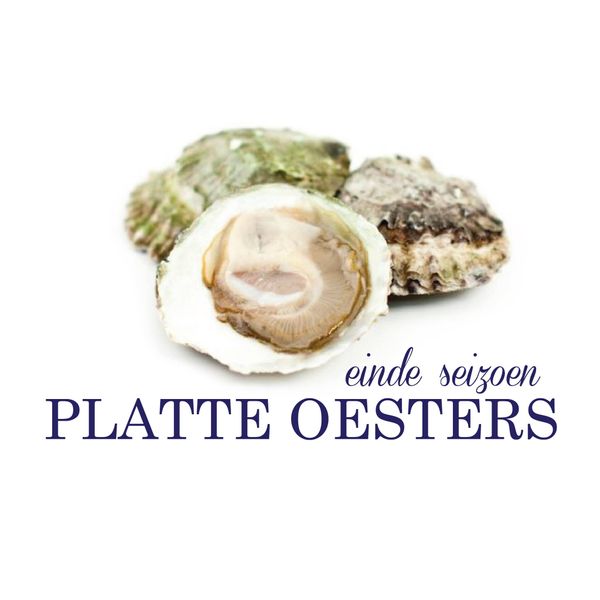 Flat Oyster from 벨기에 supplied by Verbiest - Whole (=In Shell=Unshucked) 신선 굴