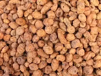 Tiger Nut from 나이지리아 supplied by Chairman Export Company - High Quality 타이거너트