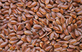Flax Seed from 아르헨티나 supplied by Coros Trade GmbH - Unspecified 아마 씨