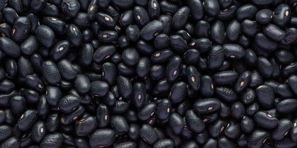 Black Bean from Argentina supplied by Trading Sur S.A. - Fresh (=Chilled) Black Bean