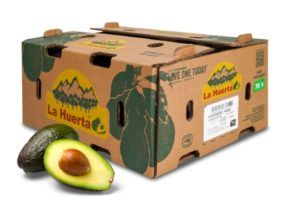 Class 2 Avocados from 미국 supplied by Agroexport Avocados (Villita) - Class 2 신선 아보카도