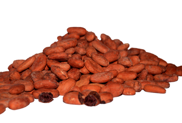 Cocoa from 페루 supplied by Asociacion De Productores Cacao Alto Huallaga - Standard (≤100 beans) 코코아콩