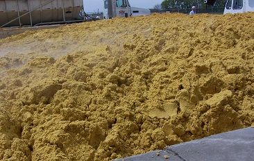 Wet Distiller's Grain Solubles (WDGS) from 아르헨티나 supplied by Bioetanol Río Cuarto S.A. - Extraction 주정박