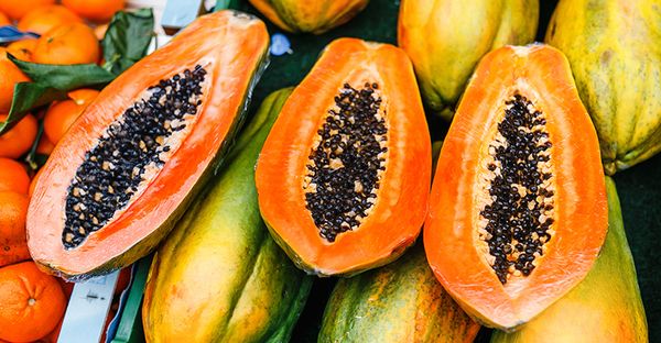 Fresh Papaya from 에티오피아 supplied by Safqa Trading - 300-500 g 신선 파파야