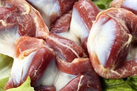 CHICKEN GIZZARD from 나이지리아 supplied by DANDANI FARMS LTD - Gizzard 닭고기 가공품