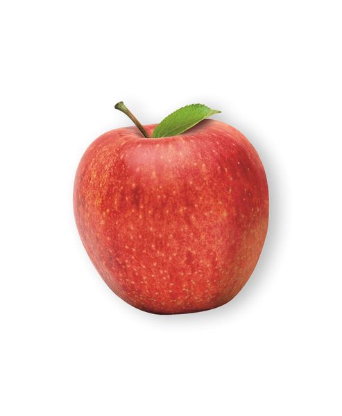 Apple from 스위스 supplied by Biofruits SA - Galmac 신선 사과