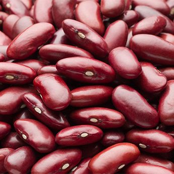 Red Beans from Ukraine supplied by Agroleader Europe LLC - Raw Sweet Red Beans