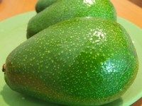 Avocado from 프랑스 supplied by Drevin exotic import export fruits exotiques - Whole 신선 아보카도