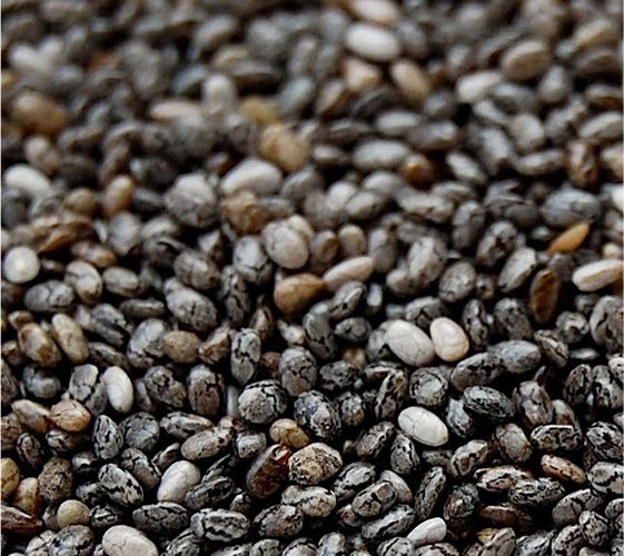 Chia Seed from 파라과이 supplied by Kasba S.A. - Black Varieties 치아 씨