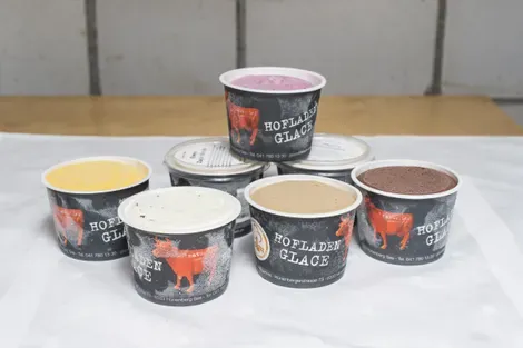 Fruit Ice Cream from 스위스 supplied by Family Baumgartner - Frisch vom Hof - Puree 아이스크림